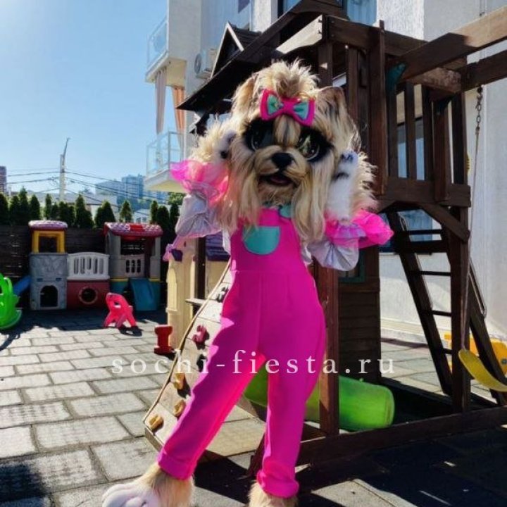 Аниматор Гламурная Собака в Набережных Челнах