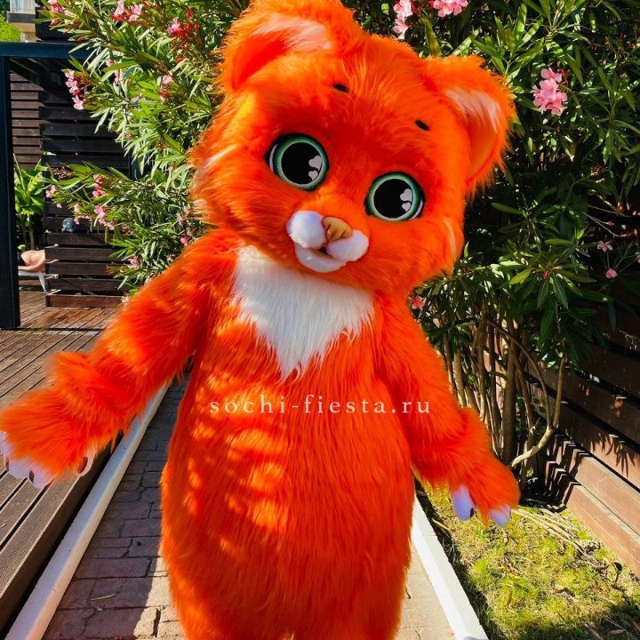 Аниматор Котик в Набережных Челнах