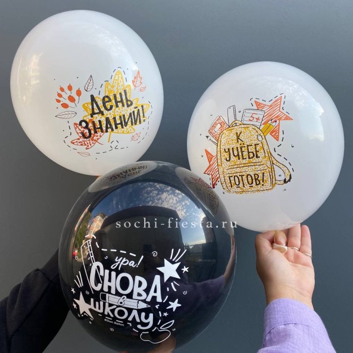 Воздушный шар к 1 сентября в Набережных Челнах