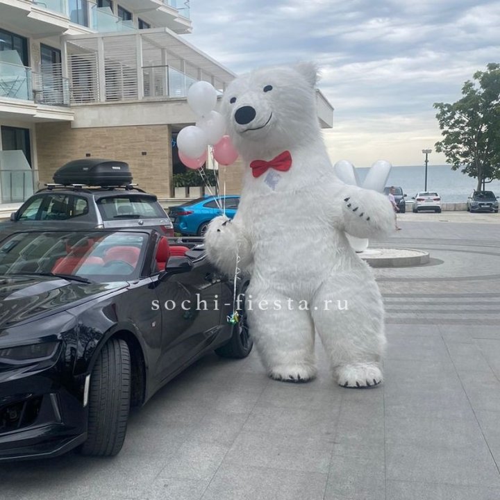 Аниматор Белый Медведь в Набережных Челнах