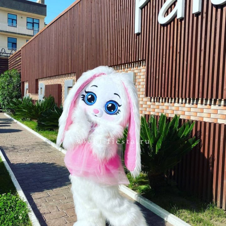 Аниматор Зайка в Набережных Челнах