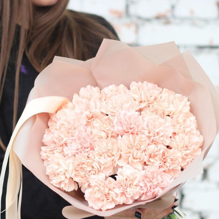 Диантусы №2 в Набережных Челнах