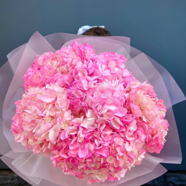 9 ярко розовых гортензий в Набережных Челнах