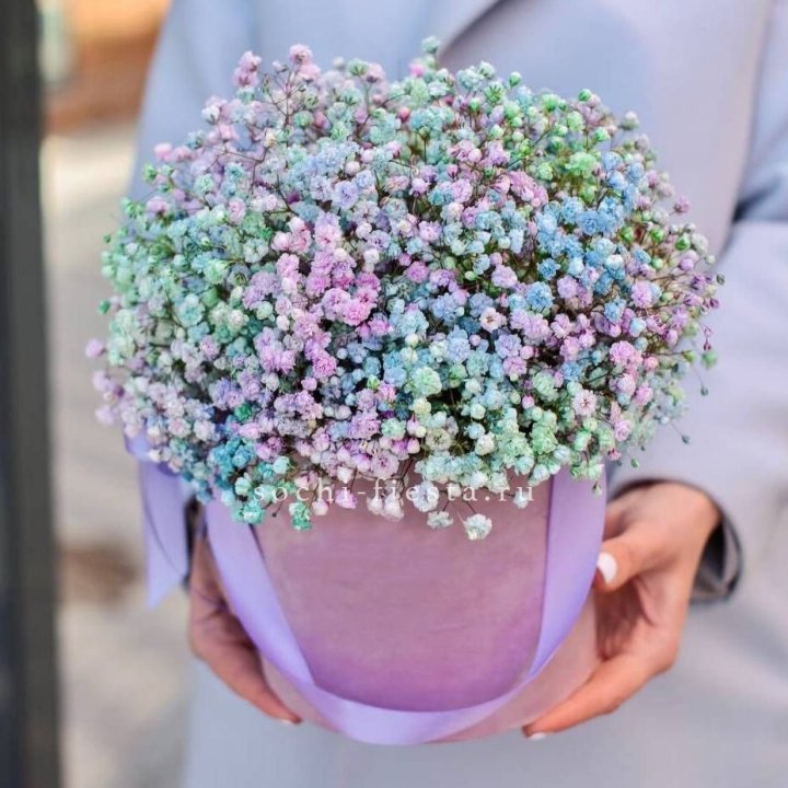 Гипсофилы в шляпной коробке "Кандилайт" в Набережных Челнах