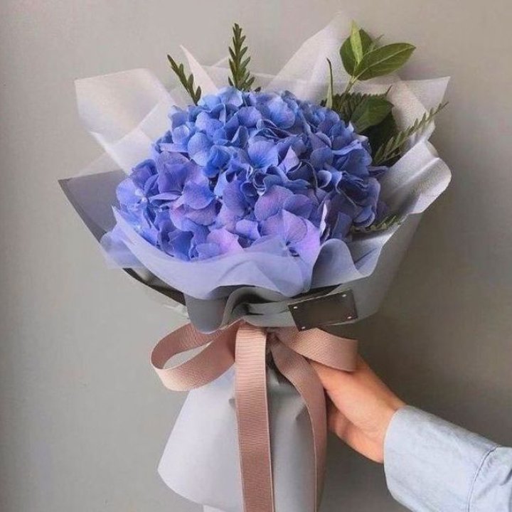 Гортензия голубая в Набережных Челнах