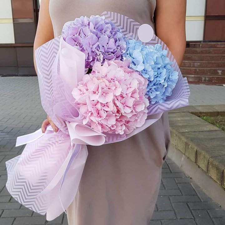 Букет гортензий "Пуф" в Набережных Челнах