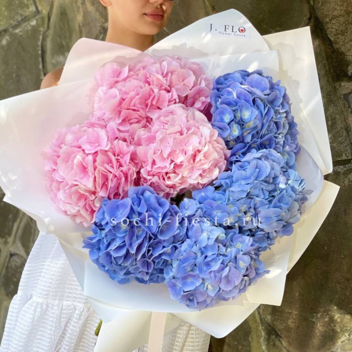 Букет гортензий №1 в Набережных Челнах