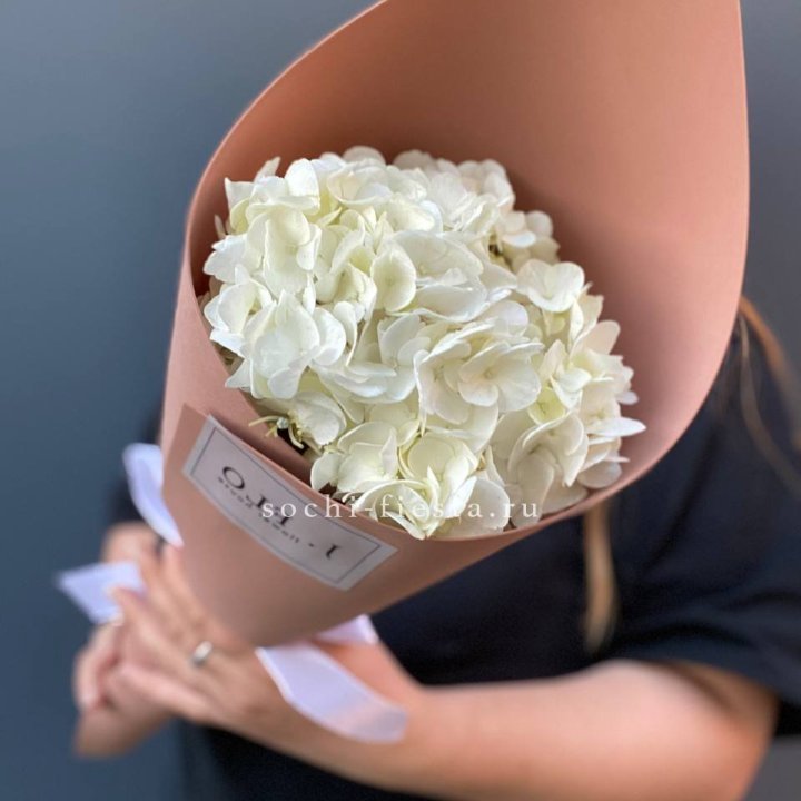 Гортензия в конверте в Набережных Челнах