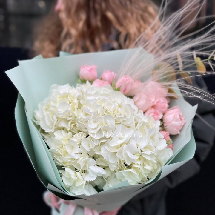 Гортензия "Жасмин" в Набережных Челнах