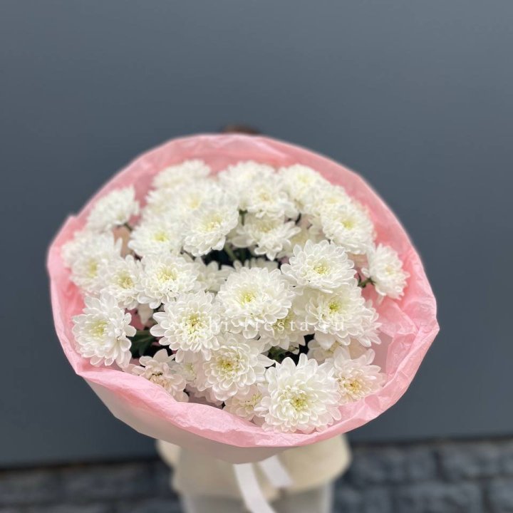  5 хризантем  с доставкой в Набережных Челнах