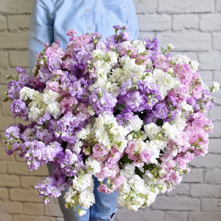 Облако маттиол в Набережных Челнах