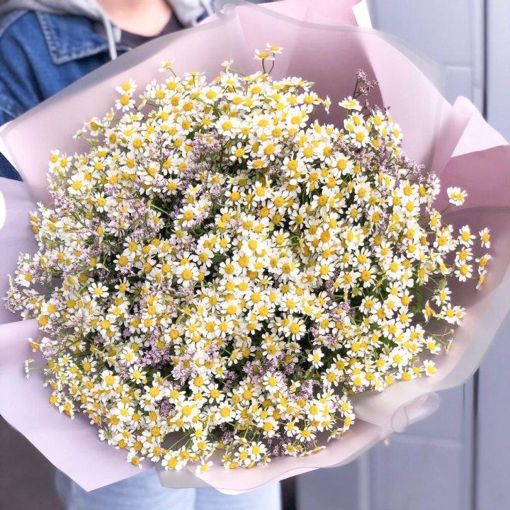 Букет ромашек №1 в Набережных Челнах