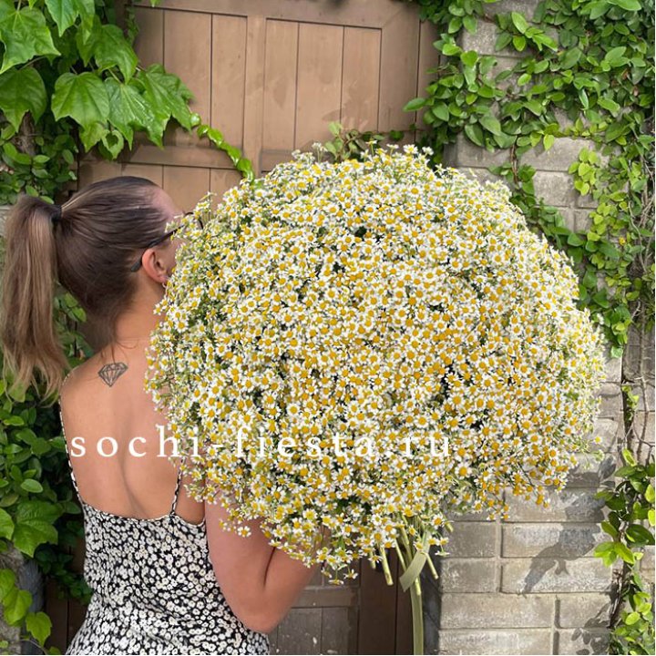 101 ромашка в Набережных Челнах