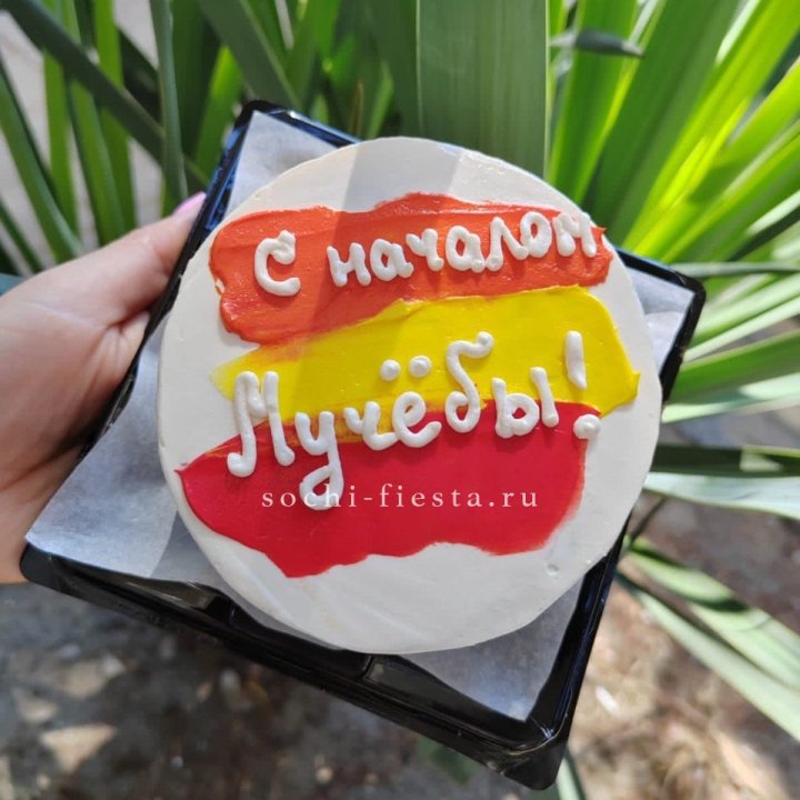 Бенто-торт "С началом учёбы"" в Набережных Челнах