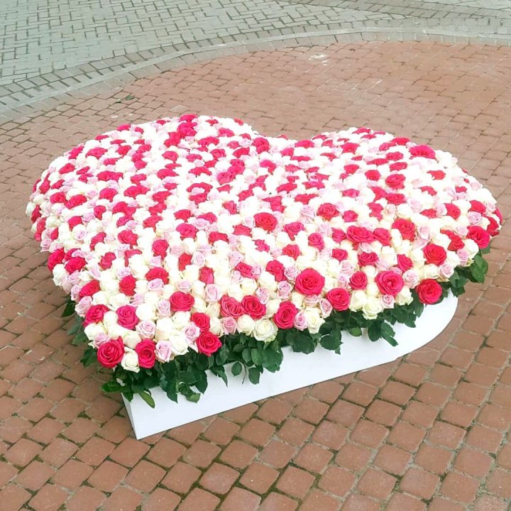 555 роза  в Набережных Челнах