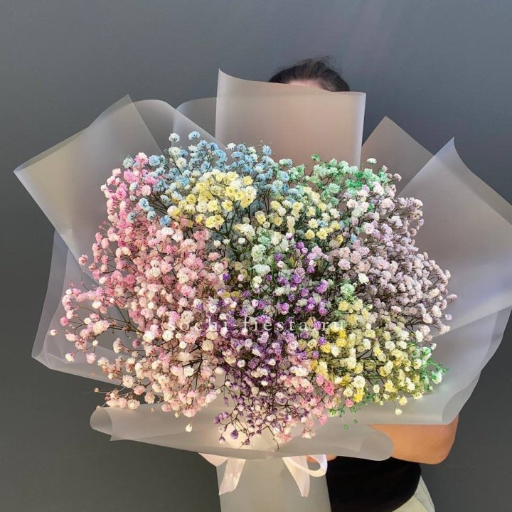 Радужные гипсофилы  в Набережных Челнах