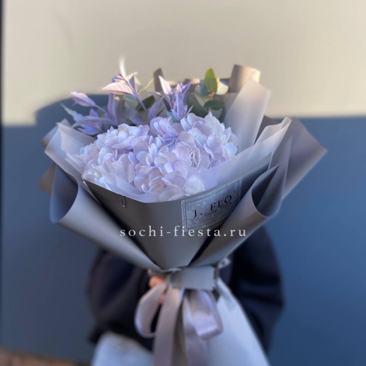 Гортензия "Виолета" в Набережных Челнах