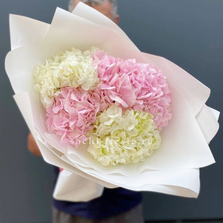 Букет гортензий №5 в Набережных Челнах