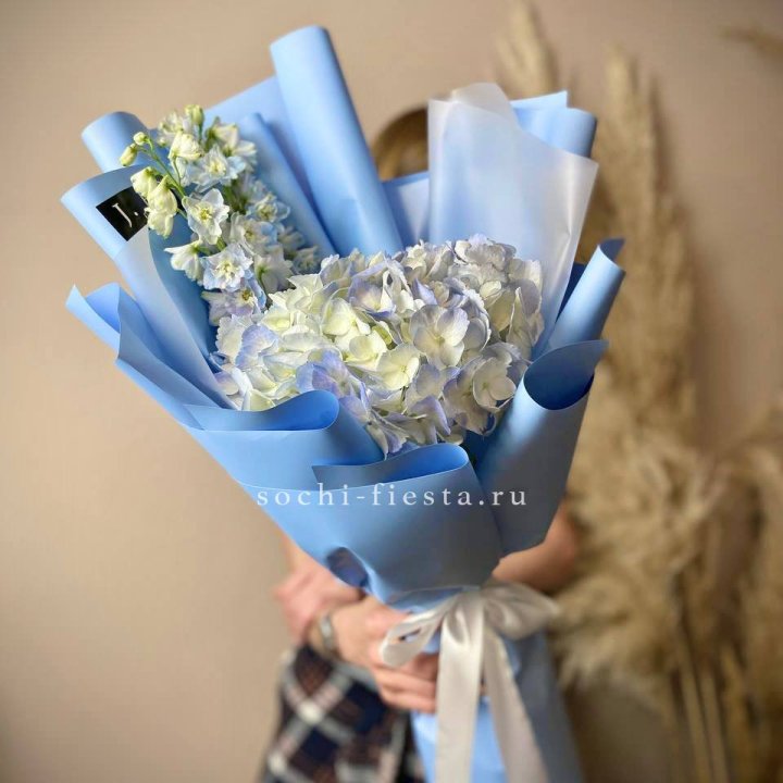 Гортензия "Блю скай" в Набережных Челнах