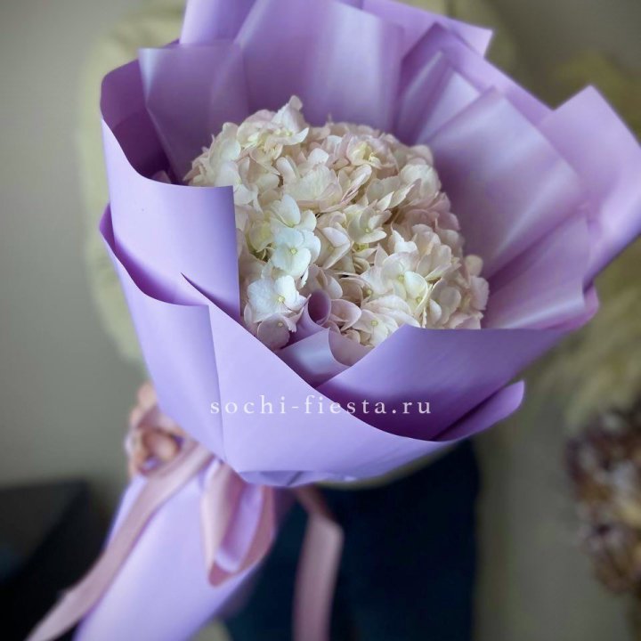 Гортензия розовая в Набережных Челнах