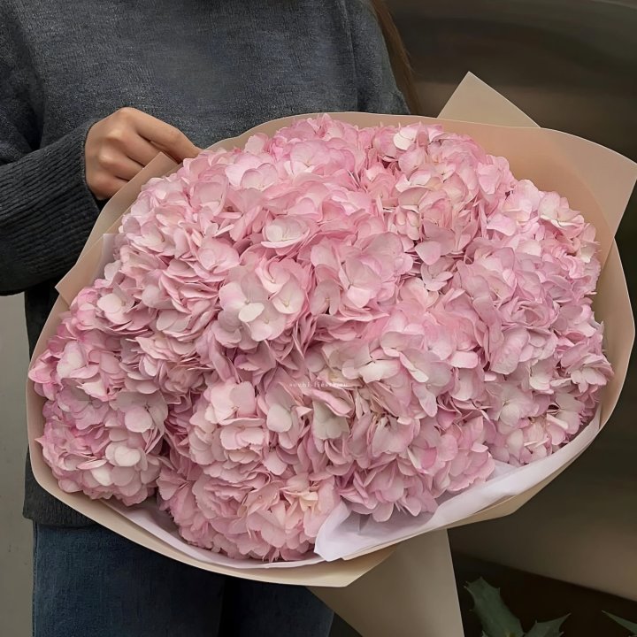 Гортензия  "РОЗЕ" в Набережных Челнах