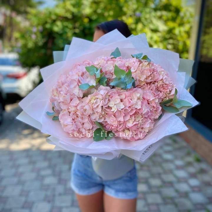 5 розовых гортензий  в Набережных Челнах