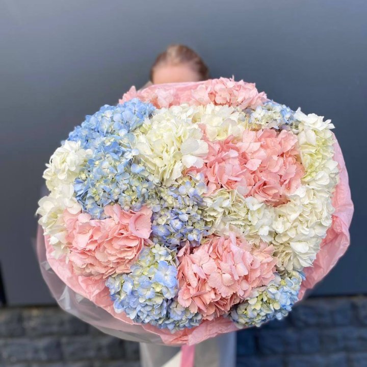19 гортензий микс в Набережных Челнах