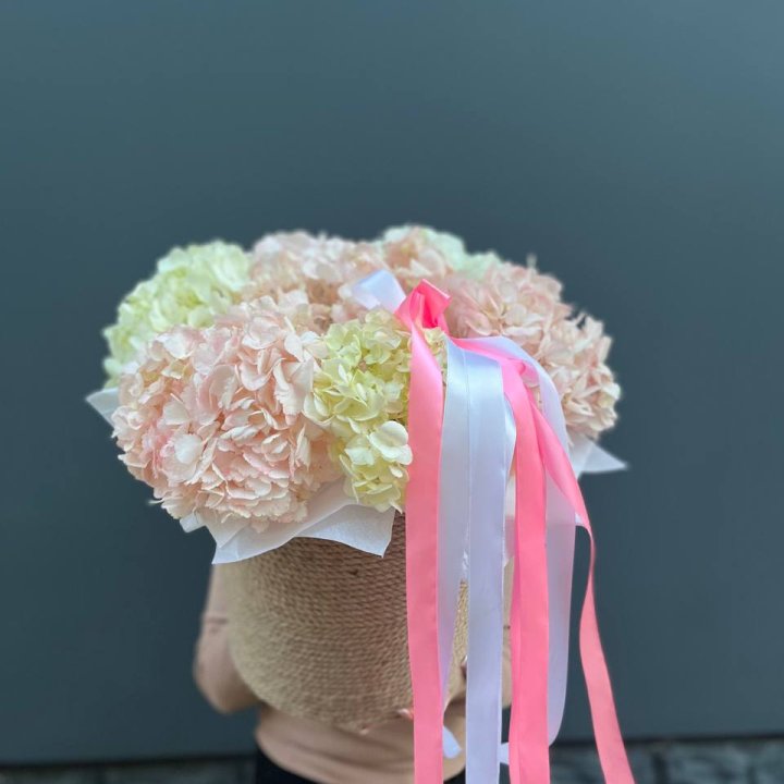 7 гортензий в кашпо в Набережных Челнах