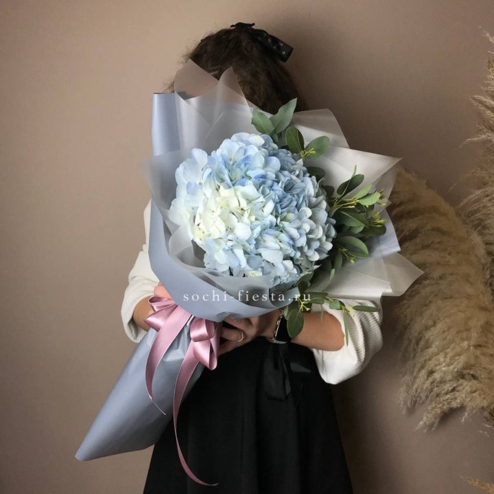 Гортензия Уно в Набережных Челнах