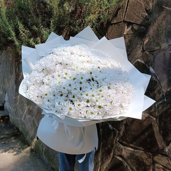 Облако хризантем №2 в Набережных Челнах