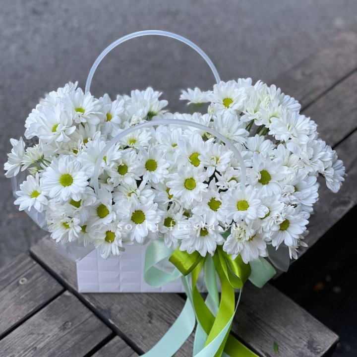 Сумка с хризантемами ромашками в Набережных Челнах