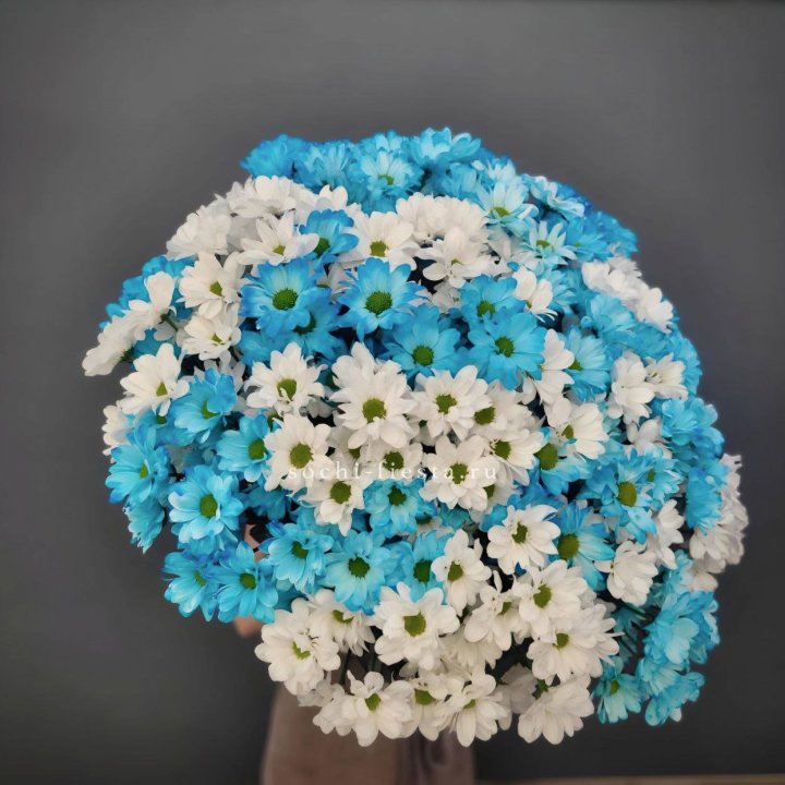  Букет хризантем микс в Набережных Челнах