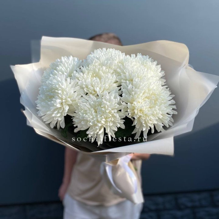 Профитроли в Набережных Челнах