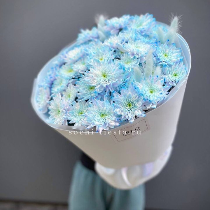  Букет нежно-голубых хризантем  в Набережных Челнах