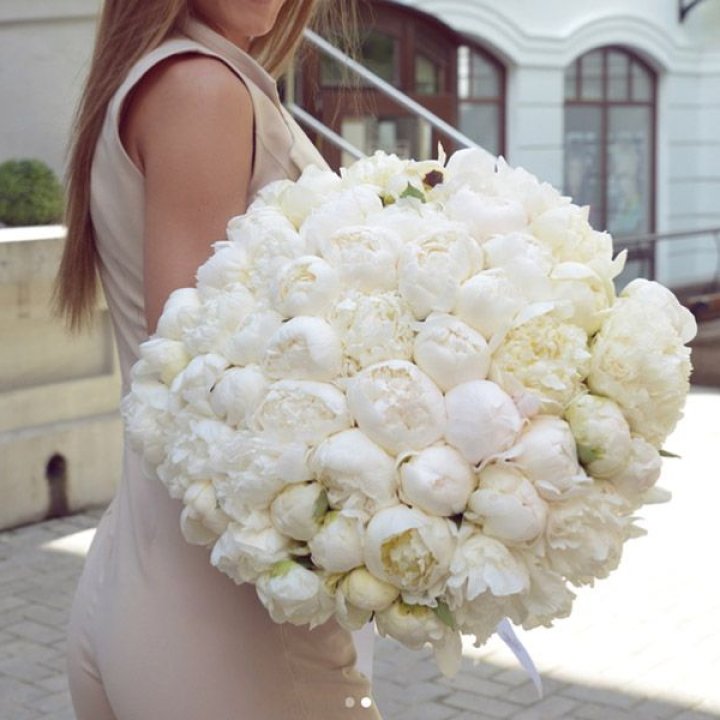 51 белый пион в Набережных Челнах