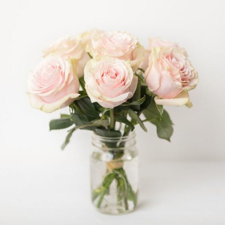 7 кремовых роз в Набережных Челнах