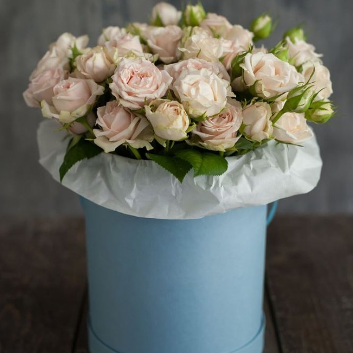 Бокс с бомбастиком в Набережных Челнах