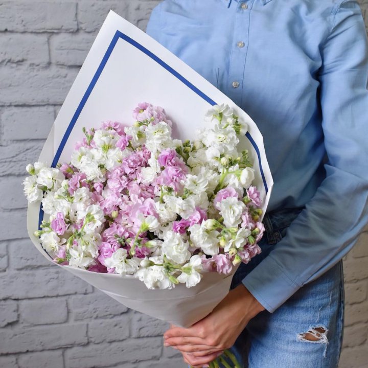 Маттиола в Набережных Челнах