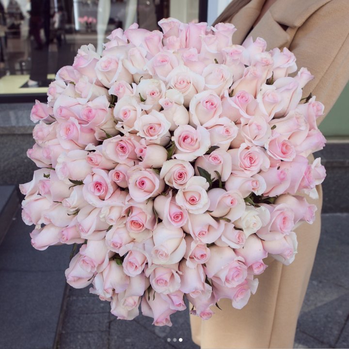 Розы "Пинк бум" в Набережных Челнах