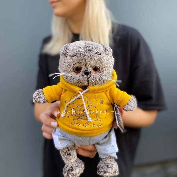 Кот Басик в худи в Набережных Челнах