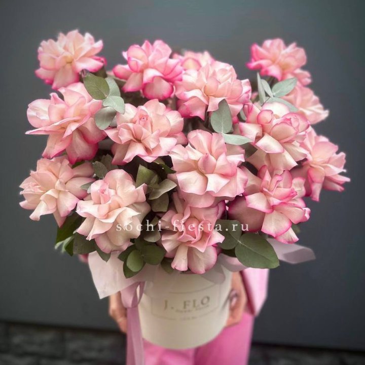 17 Французских  роз Венди в боксе в Набережных Челнах