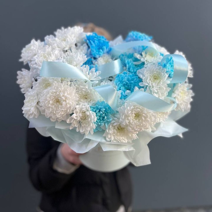 Хризнтемы в боксе в Набережных Челнах