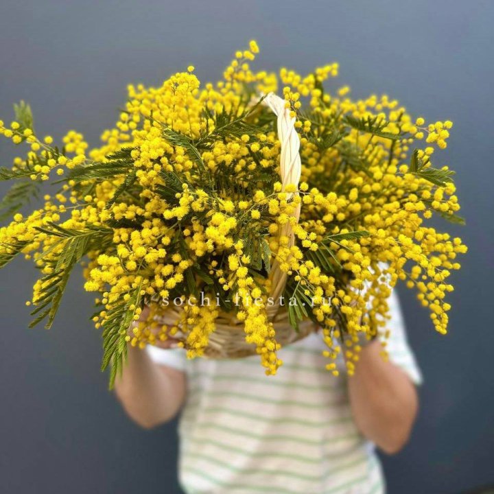 Весенняя корзина мимозы в Набережных Челнах