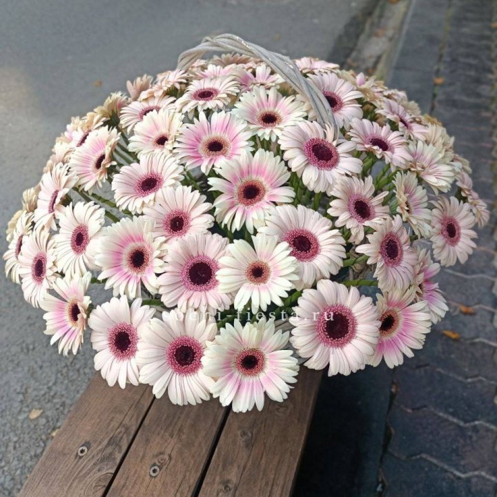 Корзина с герберами  в Набережных Челнах