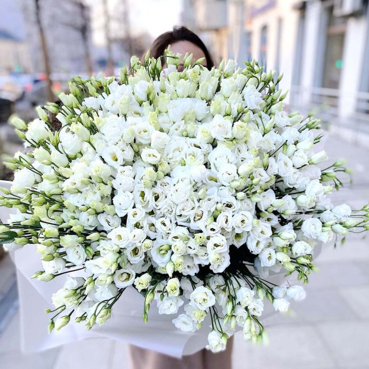 101 белая эустома в Набережных Челнах