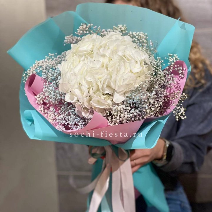 Гортензия "Райдов" в Набережных Челнах