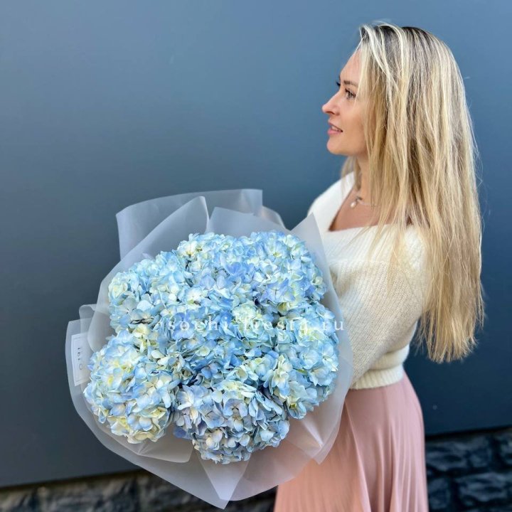 7 голубых гортензий в Набережных Челнах