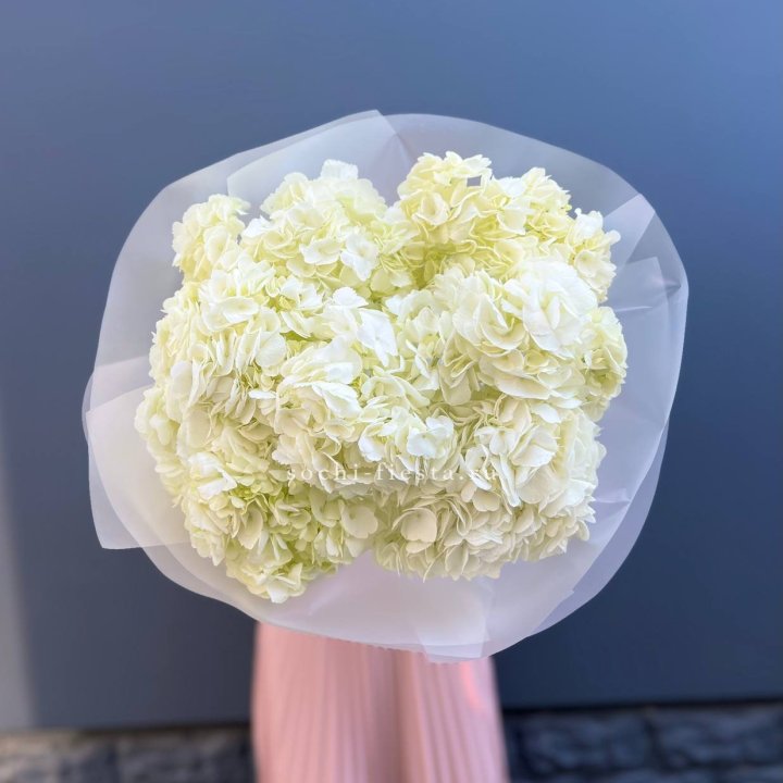 7 белых гортензий в Набережных Челнах