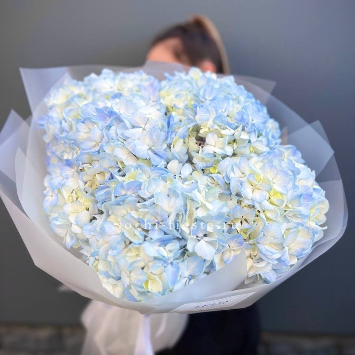 5 голубых гортензий в Набережных Челнах