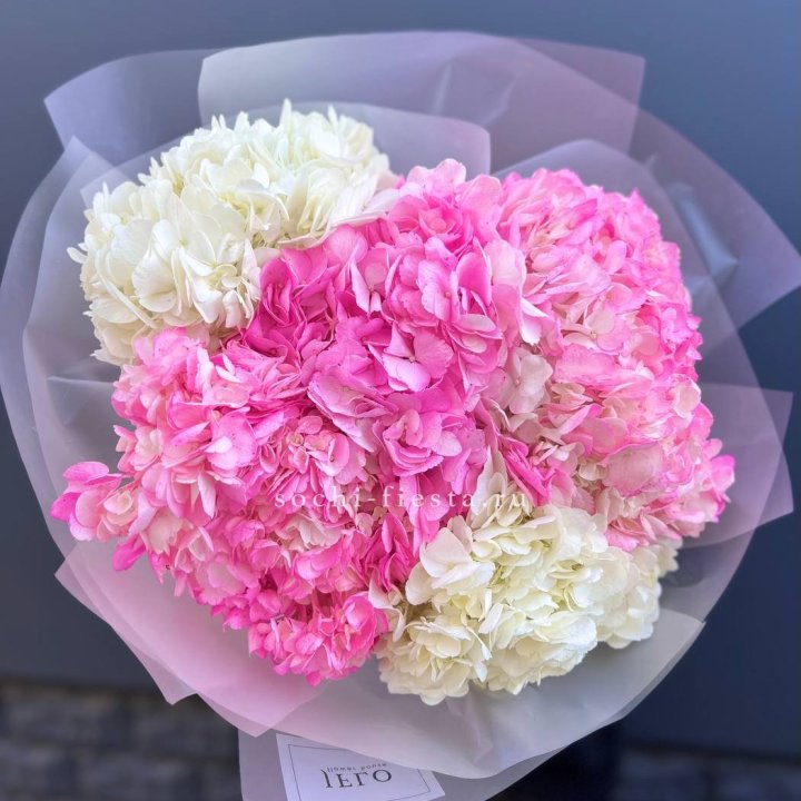 5 бело-розовых гортензий в Набережных Челнах